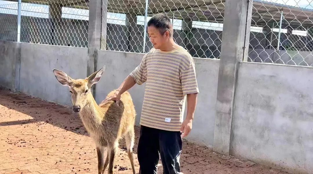 皇冠球盘规则